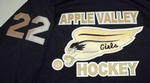 Av Eagles Back 150x83